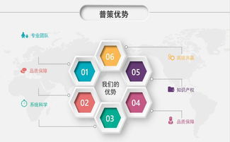 技術(shù)服務(wù)創(chuàng)業(yè) 高利潤(rùn)項(xiàng)目與盈利指南